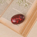 Stone Engraved Pebble Paper Weight- Rise Renew Flourish