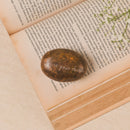 Stone Engraved Pebble Paper Weight- Chase Your Dream
