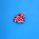Handcrafted Ceramic Fridge Magnet- Tortoise design