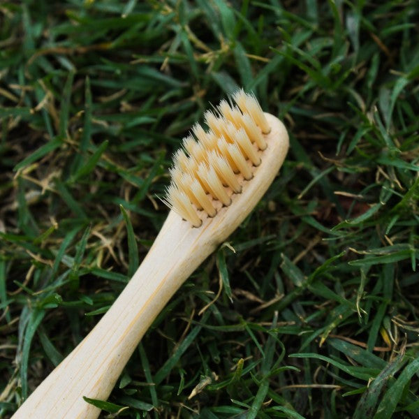 Kid's Bamboo Toothbrush ~ Natural Bristles